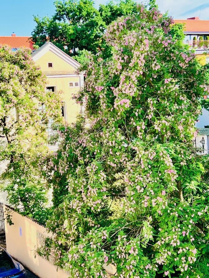 Super Apartment Old Town Klaipėda Eksteriør bilde